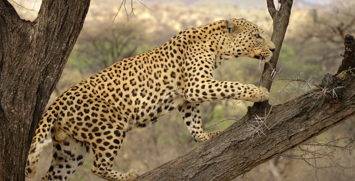 Namibian landscapes 13-day self-drive adventure