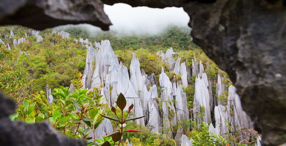 Borneo escapade with Mulu Pinnacles trek