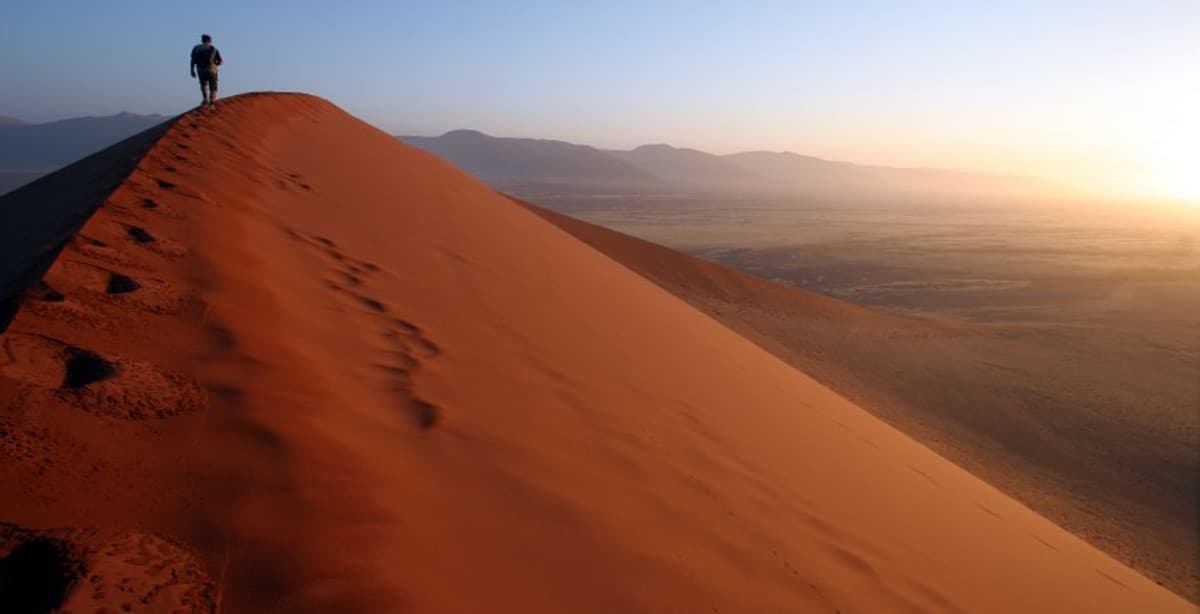 Wüste, Wellen, wilde Tiere