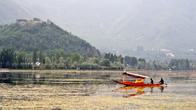 Welcome boat ride on Dal Lake