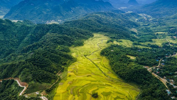 Back to the city life of Hanoi