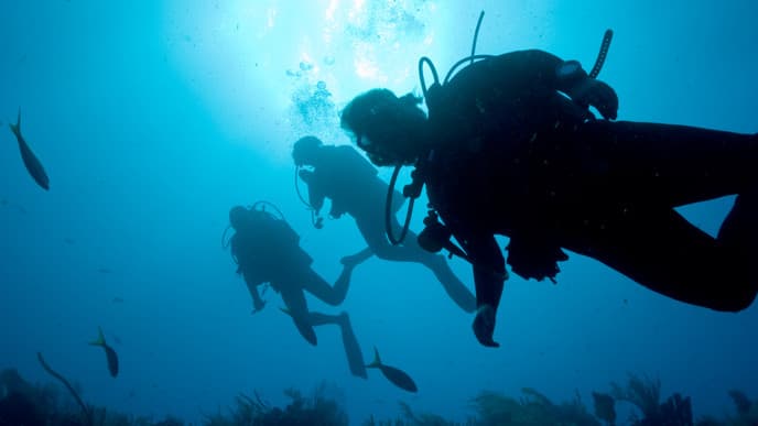 A final day of diving