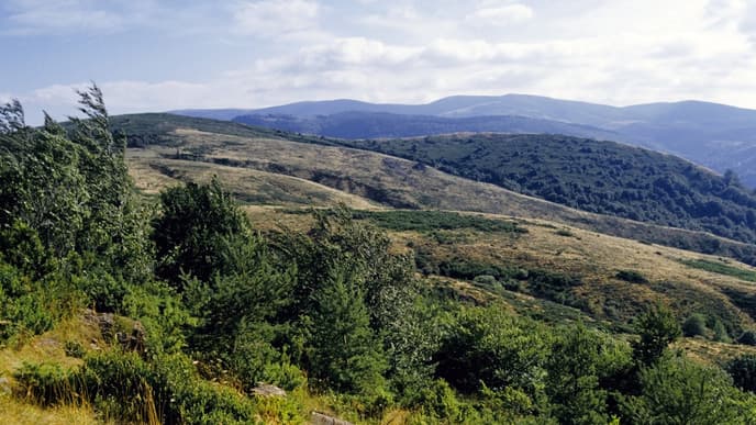 A scenic exploration