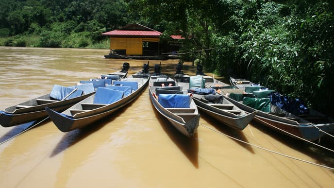 Boat Tour In Taman Negara