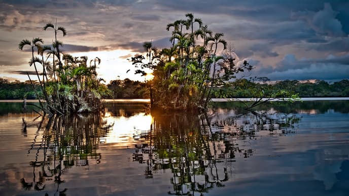 Sail the Amazon River for Incredible Wildlife Spotting