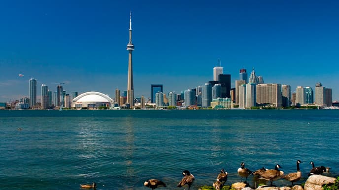 Welcome To Toronto!