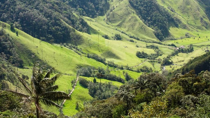 Landschaftliche Eindrücke und Kunsthandwerk im Cocora Tal