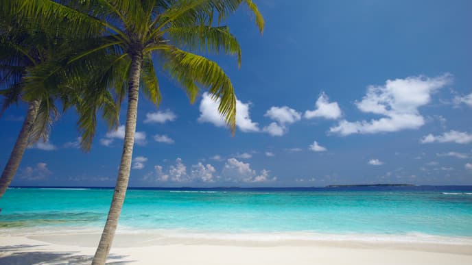 Rest and Relaxation in the Maldives