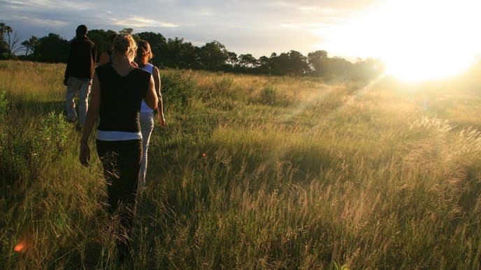 Die Ufer des Okavango