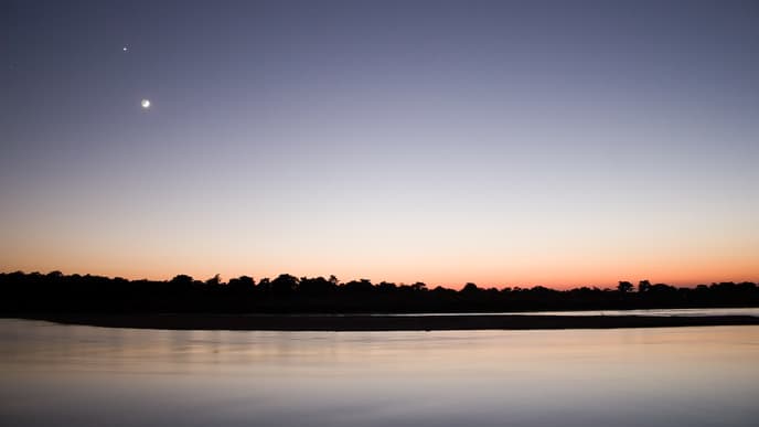 Jeep Safari At Chitwan