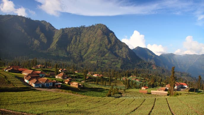 Panoramafahrt durch Ostjava
