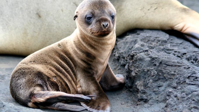 Speedboat to San Cristobal