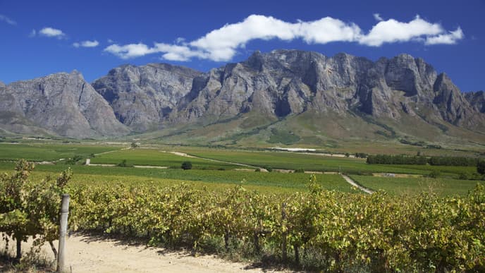 Journey to the Cape Winelands