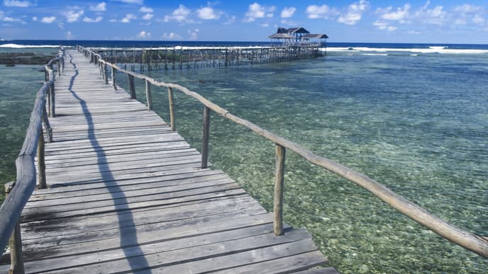 Journey to a surfer's paradise
