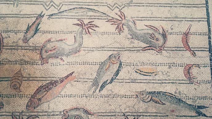 Explore the Medina's of Tunis