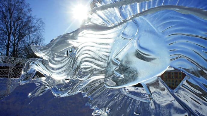 Join an immersive ice sculpting experience