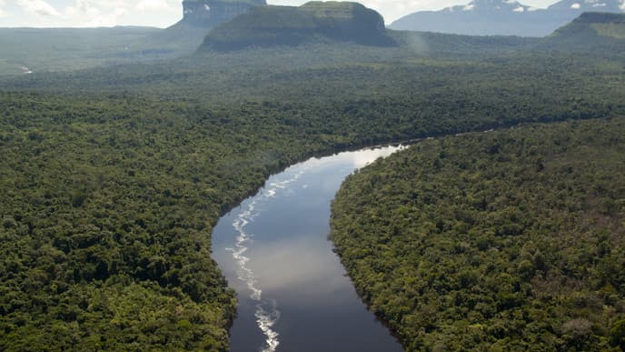 Welcome to the Orinoco!