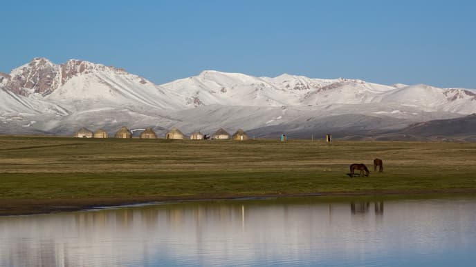 Vergorene Stutenmilch