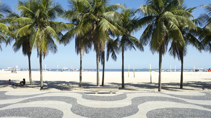 Visit the Highlights of Rio