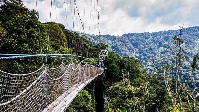 Waterfall hike & canopy walkway