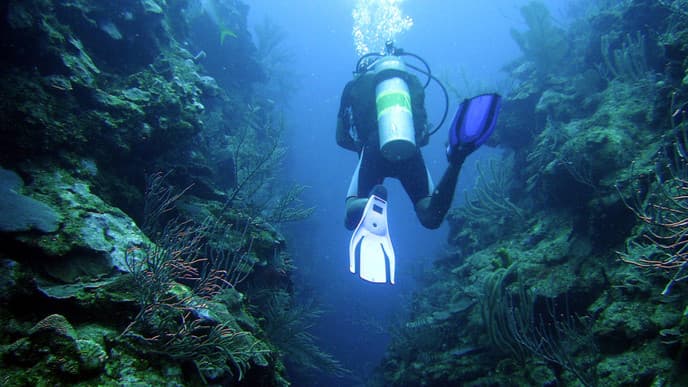 More fantastic diving pursuits