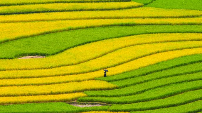 Die Weiten des Hoang Lien Nationalparks