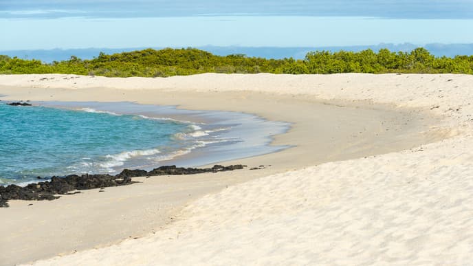 Galapagos adventures