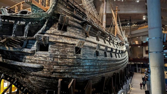 Dive into the local history & wildlife