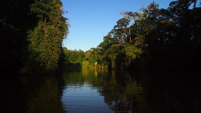 Ab in den Amazonas Costa Ricas