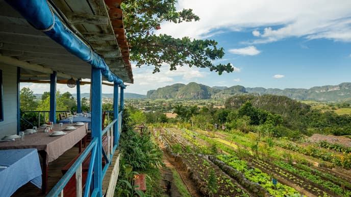 Organic farm visit