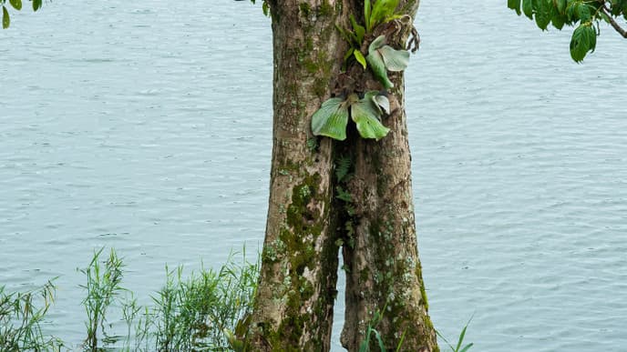 Spend Time In Kibale Forest National Park