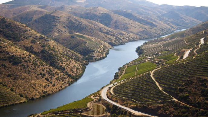 Weinprobe im Douro-Tal