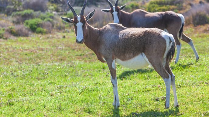 Spend time in nature