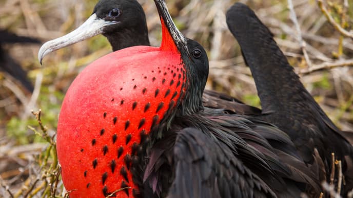 Exploring the Island of San Cristobal