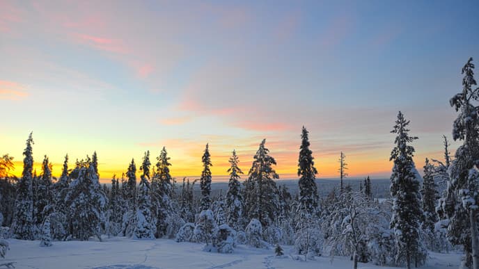 Go on a Snowshoeing Hike Through the Arctic