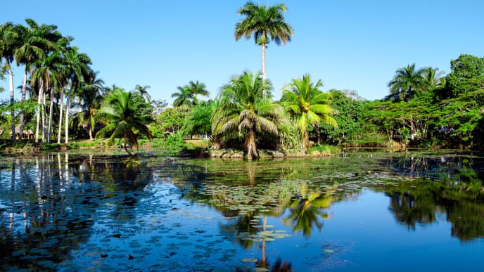 Zwischen Korallen und Krokodilen