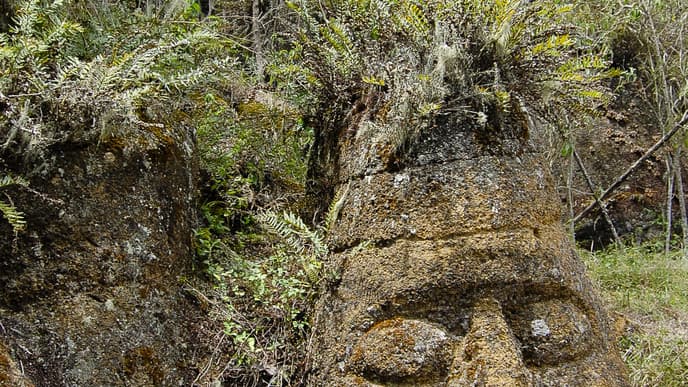 Snorkel with Galapagos Sea Lions
