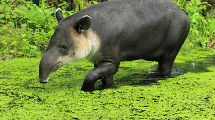 Enjoy la pura vida at your own pace