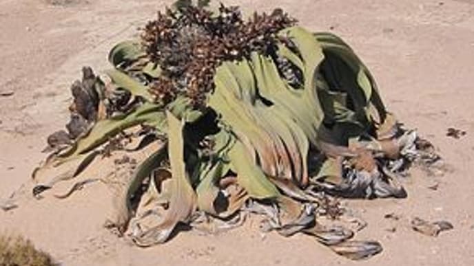 Auf zum Atlantischen Ozean