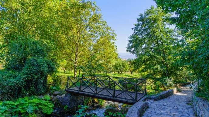Natural springs & lakes