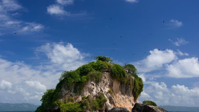 Day 7: Remarkable boat tour of Cayo de los Pájaros