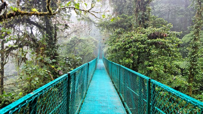 Explore the Monteverde Cloud Forest