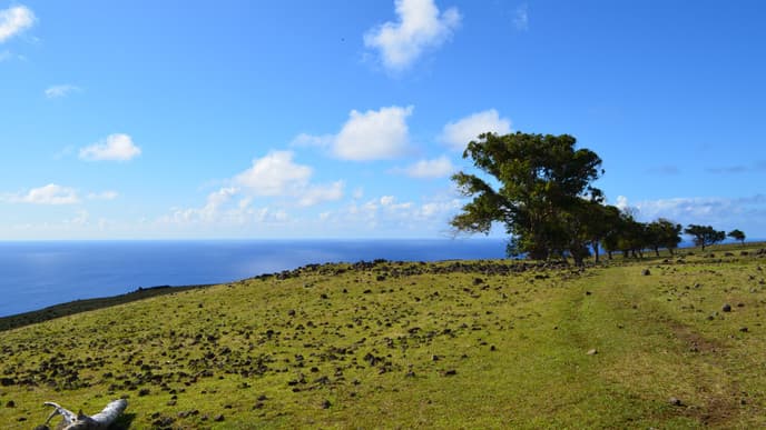 Ride on Horseback to Terevaka Volcano