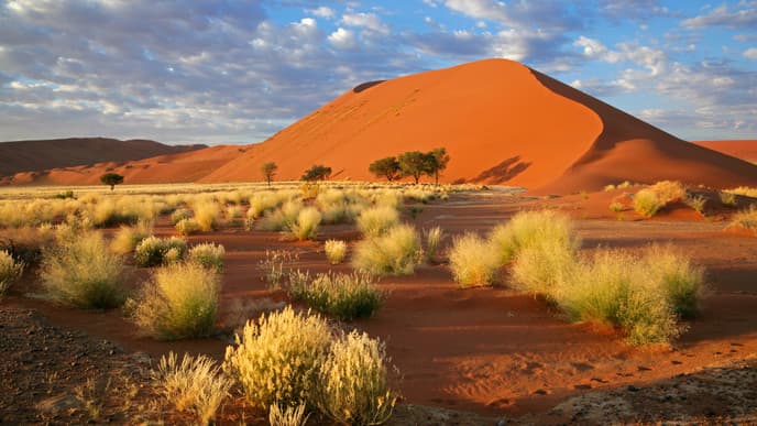 Marvel At The Dunes Of The Namib