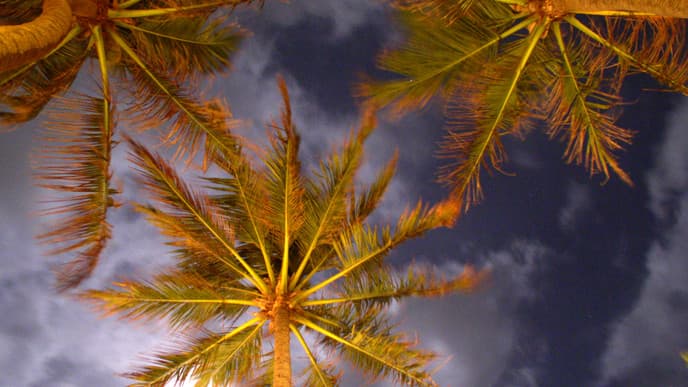 Abschied von Sri Lanka oder Strandverlängerung