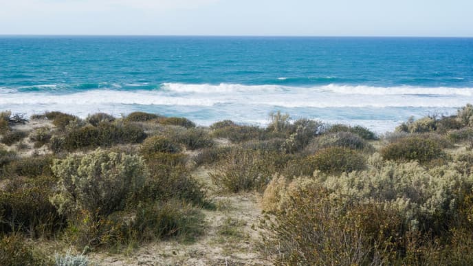 Head for the coast