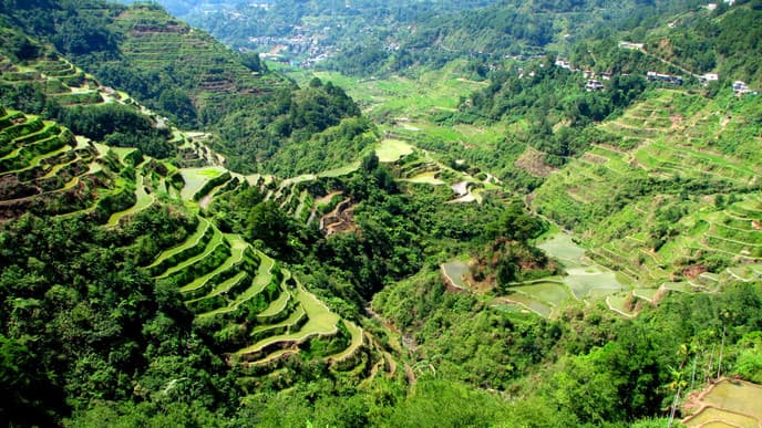 Durch die Sierra Madre nach Banaue