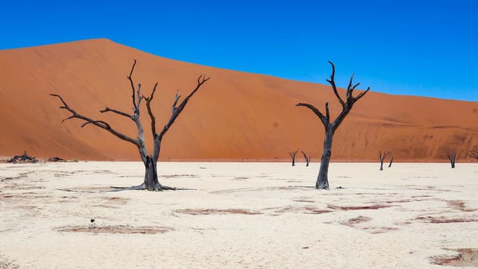 Arrive in stunning Sossusvlei