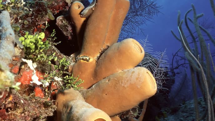 A first day in paradise