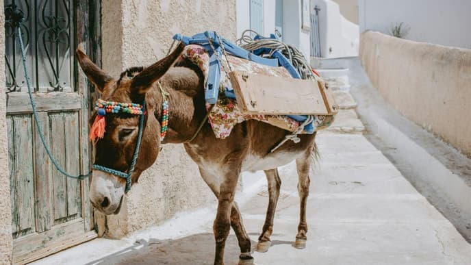Embrace a free day on Santorini